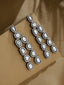 Stunning Silver Cubic Zircon Dangler Earrings