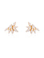 Marquise Cluster Stud Earrings